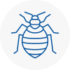 Bed Bug Extermination In Englefield Green