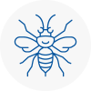 Englefield Green Hornet Nest Removals