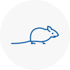 Mice Exterminators In Englefield Green