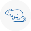 Rat Control Englefield Green