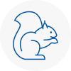 Englefield Green Rodent Removals