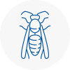 Englefield Green Wasp Nest Removal